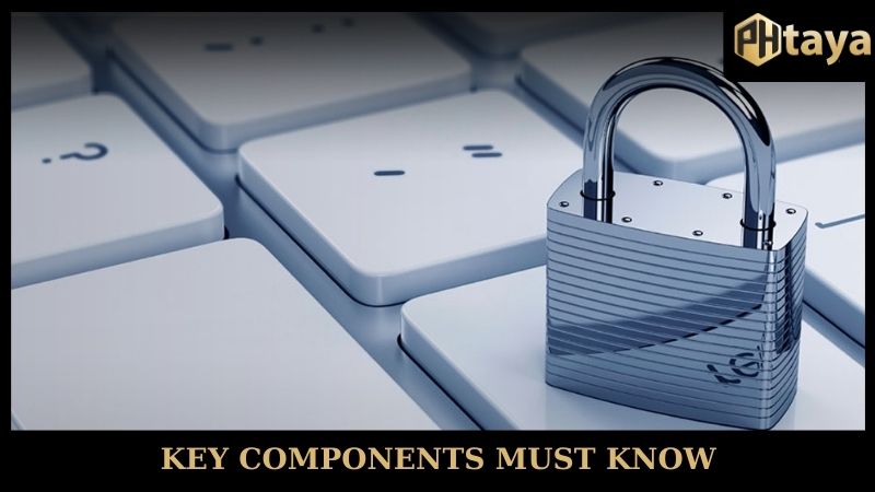 Privacy Policy PHTAYA - Understanding its importance 5 Key components must know